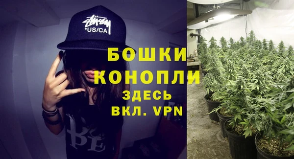 спиды Пересвет