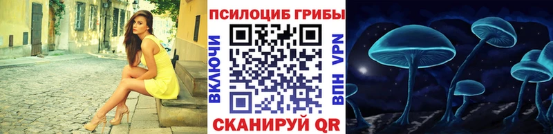 дарнет шоп  Яблоновский  Галлюциногенные грибы Psilocybine cubensis 